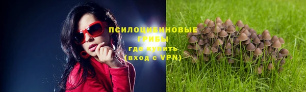 синтетический гашиш Каменка