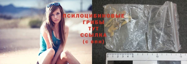 прущая мука Карпинск