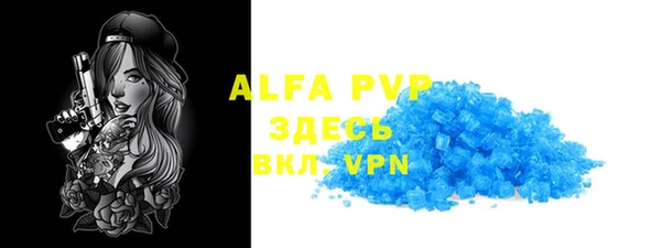 молекула духа Каменногорск