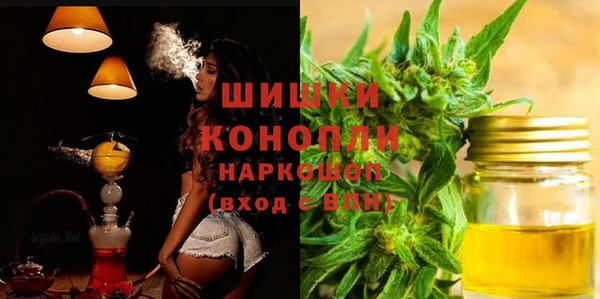 молекула духа Каменногорск