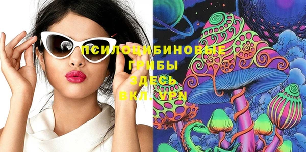 молекула духа Каменногорск