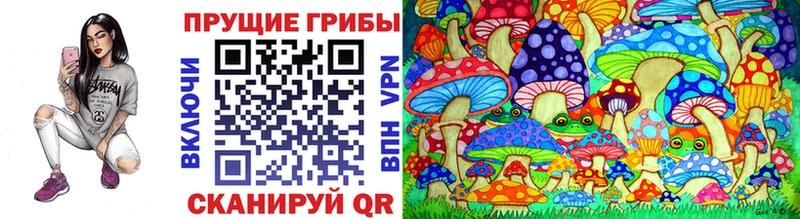Купить где  Ростов  Псилоцибиновые грибы MAGIC MUSHROOMS 
